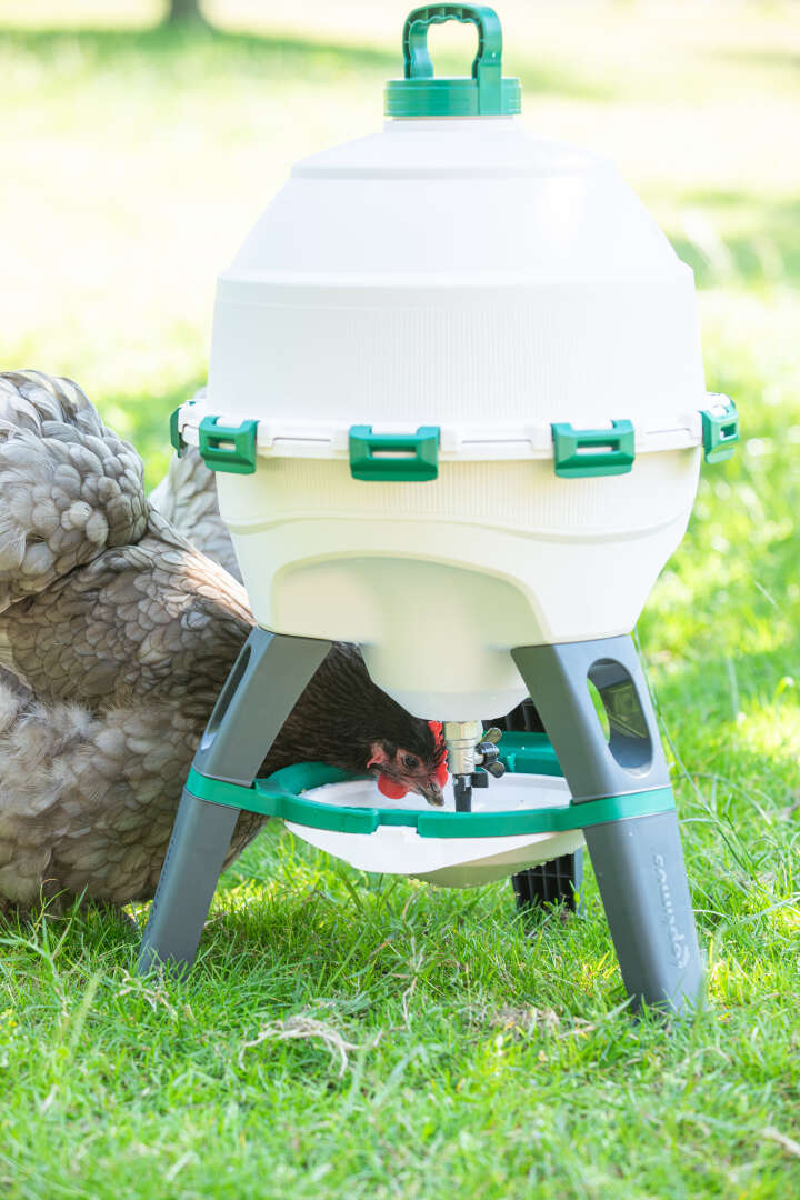 OLBA Geflügel-Siphontränke Optimus